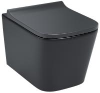 Унитаз подвесной Iddis Bild BILR2BMi25