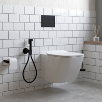 Ершик настенный Gross Aqua Space Matt Black GA18250MB, черный